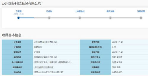 国产cpu厂商国芯科技ipo受理,募资6亿元投建信息安全芯片等项目